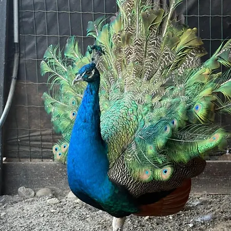 Bier House Apartment